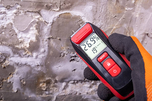 Best Kitchen Mold Remediation in Milton, LA